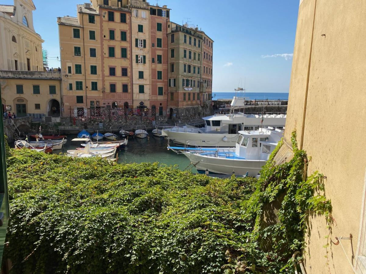 Camogli - "La Casa Di Judi" - Liguria Holidays Extérieur photo
